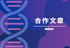 登顶Nature|产量+抗性，鱼和熊掌也可兼得